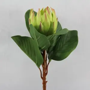 Large Protea 76cm Green 