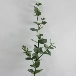 Eucalyptus Dollar Gum Spray Grey 77cm