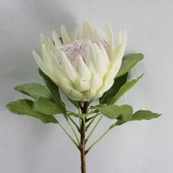 King Protea Flower 73cm White