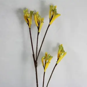 Kangaroo Paw 73cm Green/Yellow