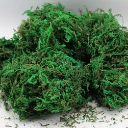 Green Moss Small Bag 30g