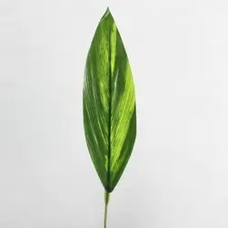 Cordyline Leaf 60cm Green