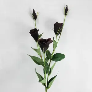 Lisianthus Spray 82cm Plum