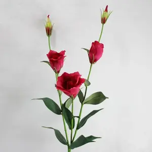 Lisianthus Spray 82cm Hot Pink