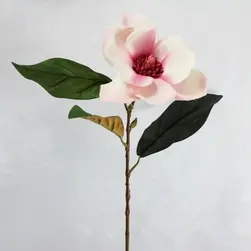 Single Magnolia 75cm Mauve