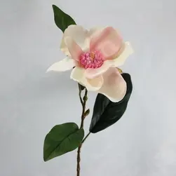 Single Magnolia 75cm Pink
