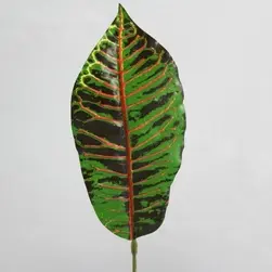 Croton Leaf 45cm