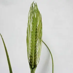 1. Barley Spray 79cm thumbnail