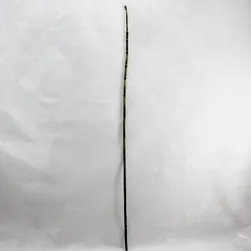 Bamboo Snake Grass 90cm