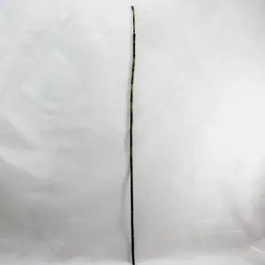 Bamboo Snake Grass 90cm