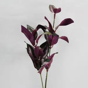 Wandering Jew Spray 53cm