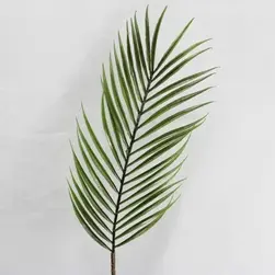 Phoenix Palm Leaf 72cm
