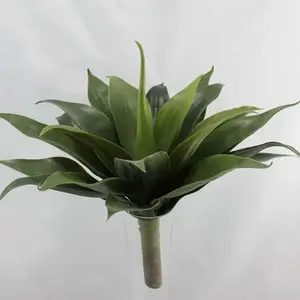 1. Large Agave 50cm thumbnail