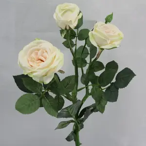 Sabrina Rose Spray Champagne 66cm