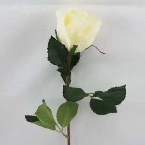 Single Rosebud Cream