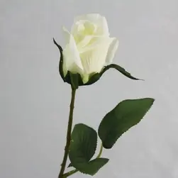 Single Rosebud 55cm Cream
