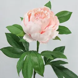 King Peony Flower Pink 79cm