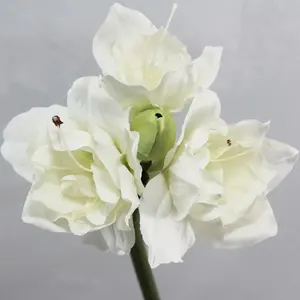 Large Amaryllis 70cm White