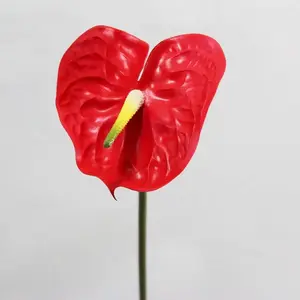 Large Anthurium 65cm Red