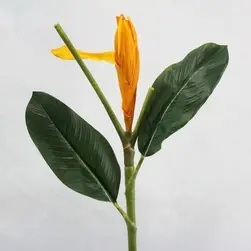 Small Banana Flower Stem 75cm Orange
