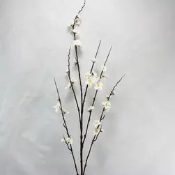 Cherry Blossom 120cm Cream