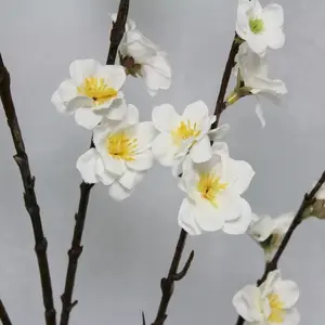2. Cherry Blossom 120cm Cream thumbnail