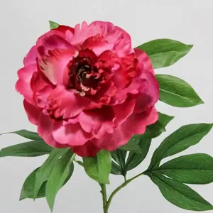 King Peony Flower Wine 79cm