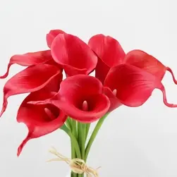 Calla Lily Bouquet x 9 Red 35cm