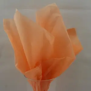 Elk Tissue Paper 480 sheets Peach