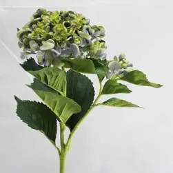 Large Hydrangea with 2 heads 75cm Lime Lavender
