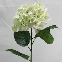 Hydrangea with 4 leaves 80cm White/Green