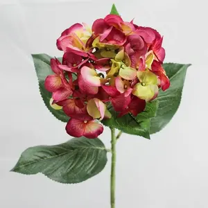 Single Large Hydrangea 76cm Burgundy/Green