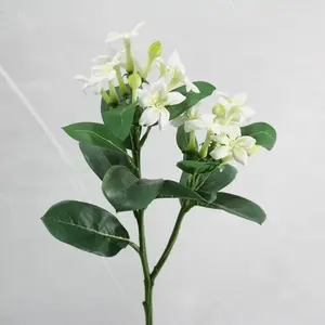 Stephanotis x 2 Spray 60cm