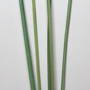 1. Tall Grass Spray  144cm thumbnail