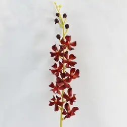 Latex Vanda Orchid Red
