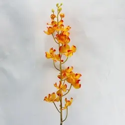 Vanda Singapore Orchid Orange 100cm