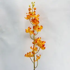 Vanda Singapore Orchid Orange 100cm