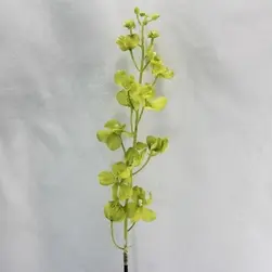 Vanda Orchid Coated Green 100cm