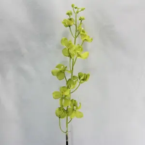 Vanda Orchid Coated Green 100cm