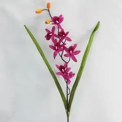 Small Cymbidium Orchid with Leaves Magenta 75cm