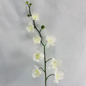 Phalaenopsis Orchid 84cm White