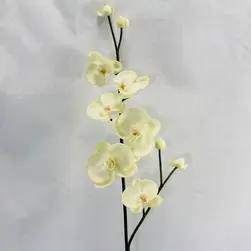 Real Touch Phalaenopsis Orchid Spray Cream 76cm