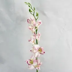 Renantanda Orchid Spray Pink 88cm