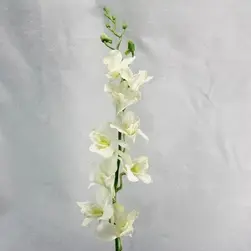 Renantanda Orchid Spray Cream 88cm