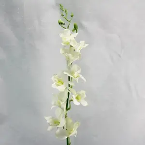 Renantanda Orchid Spray Cream 88cm