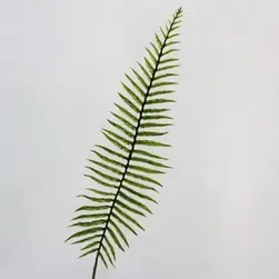 Fern Leaf 56cm