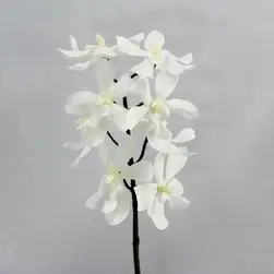 Short Stem Vanda Orchid Spray 38cm White