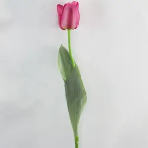 Single Tulip 65cm Pink