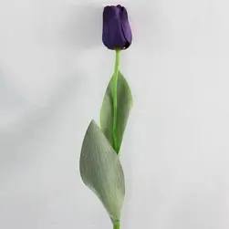Single Tulip 65cm Purple