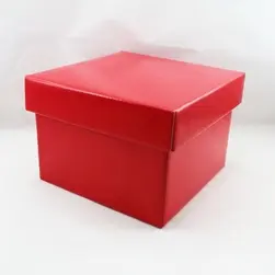 Medium Square Box and Lid 17x17x12cm height Red